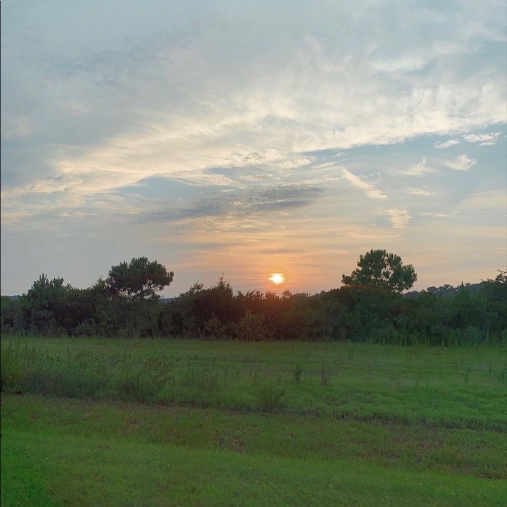 Meet your Posher, Reese